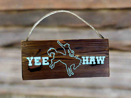 Original Hand Painted Yee Haw Horse Wall Art